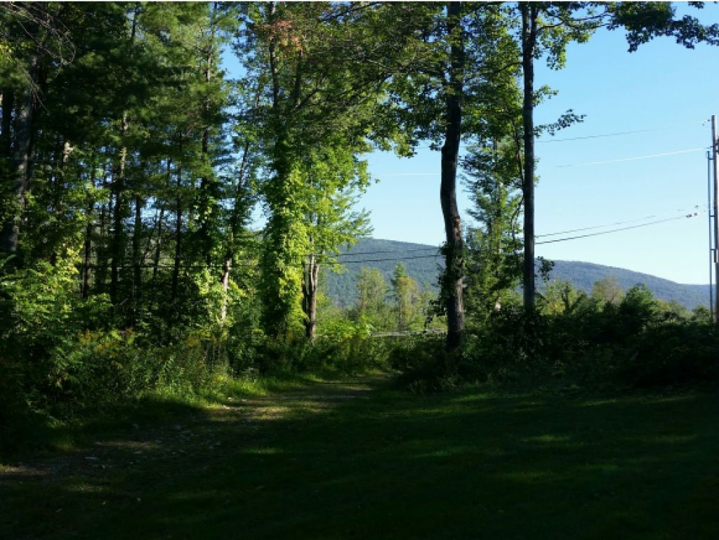 1 Beaver Meadows Road Sunderland, VT 05250 - Photo 3 of 5 Gallery Image 3
