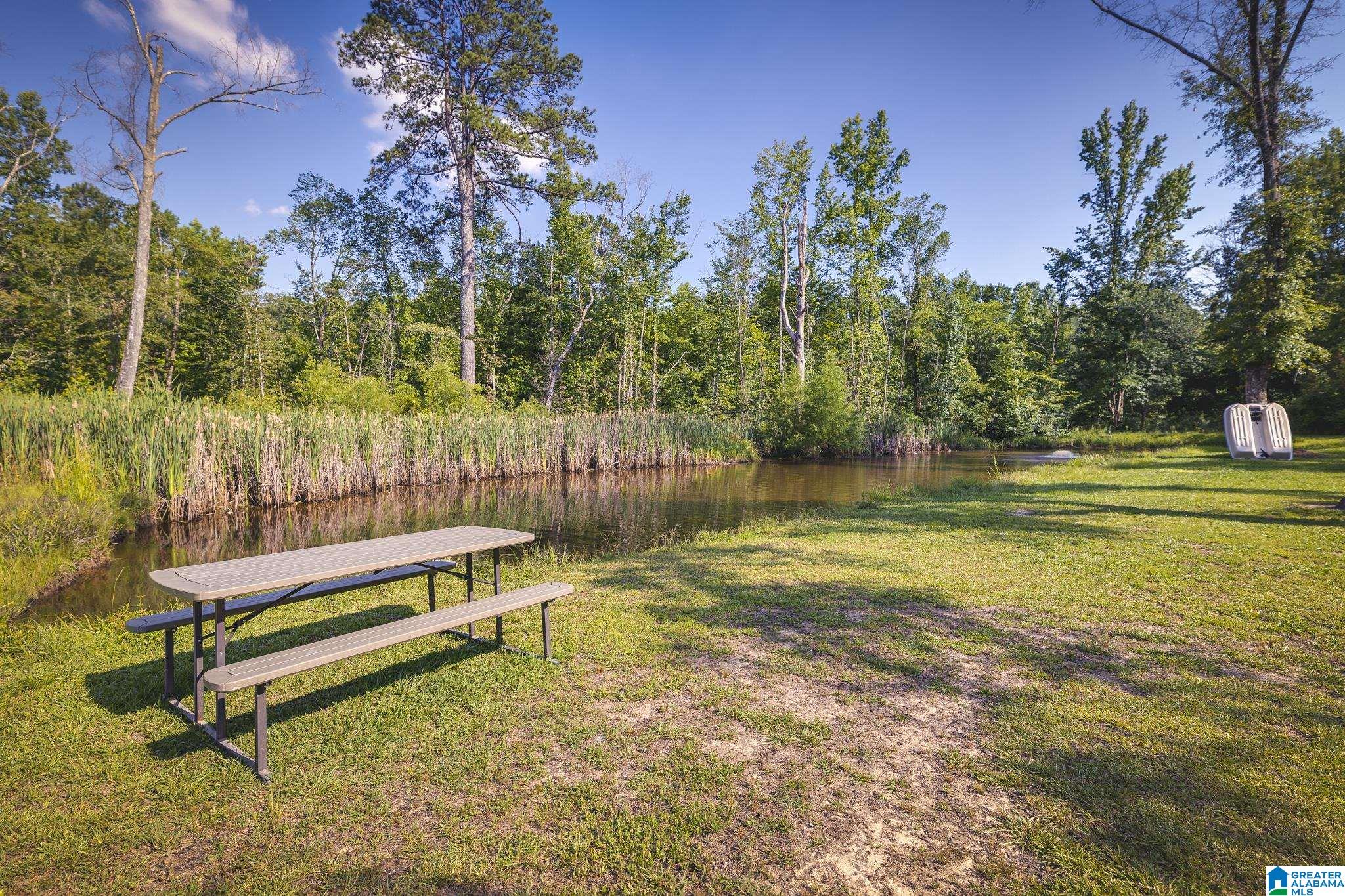 874 Pleasant Valley Road Jacksonville, AL 36265 - Photo 9 of 46