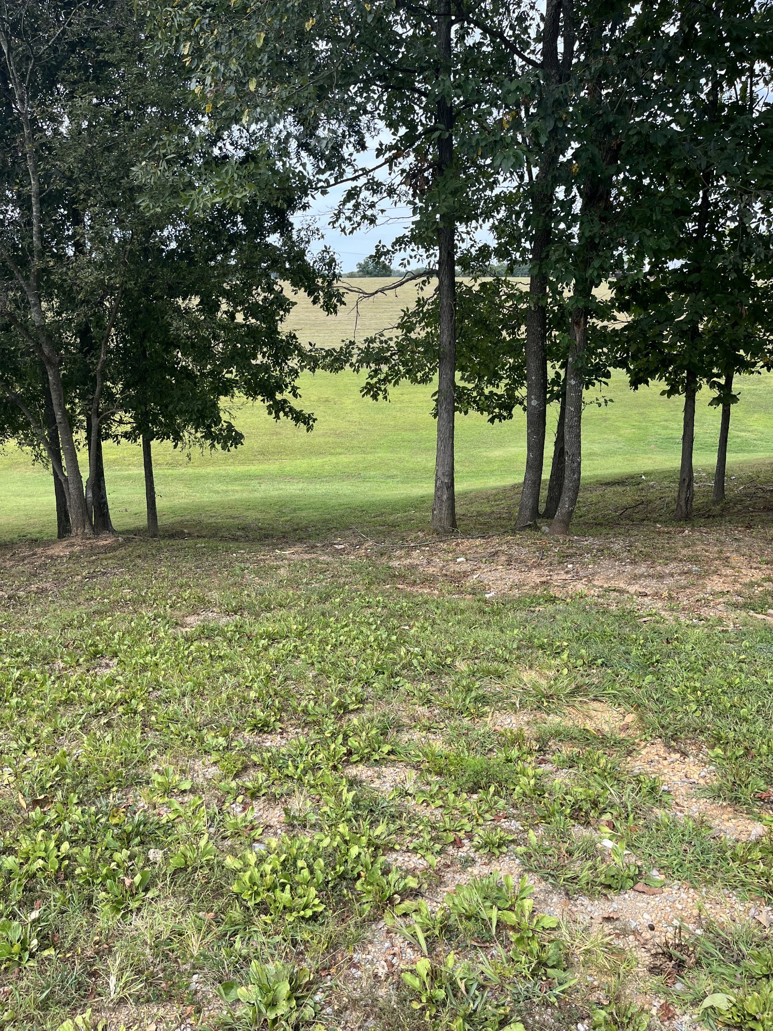 2357 Burford Road Lebanon, TN 37087 - Photo 3 of 17 Gallery Image 3