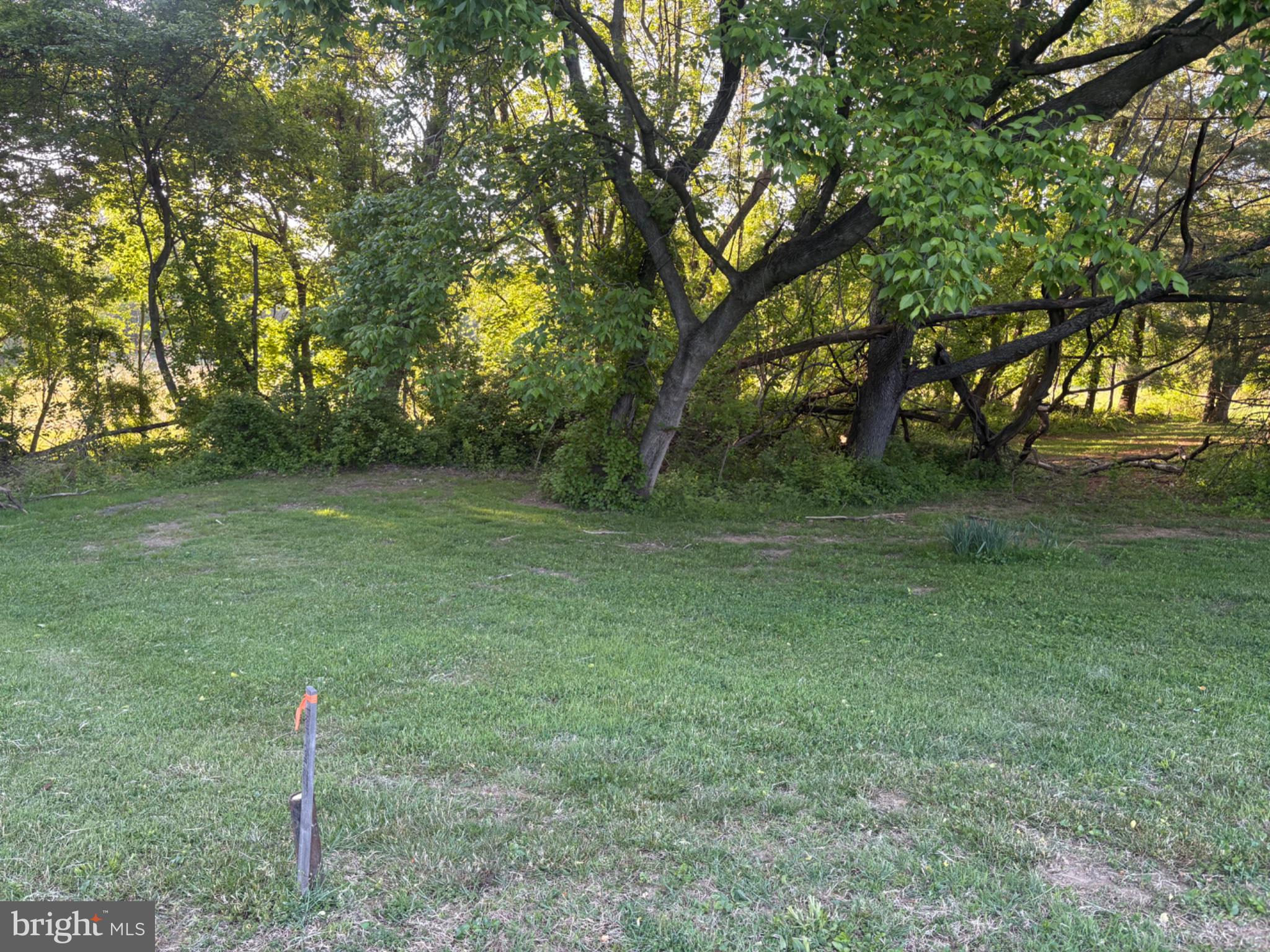 Liberty Grove Road Conowingo, MD 21918 - Photo 7 of 10 a backyard of a house with lots of green space
