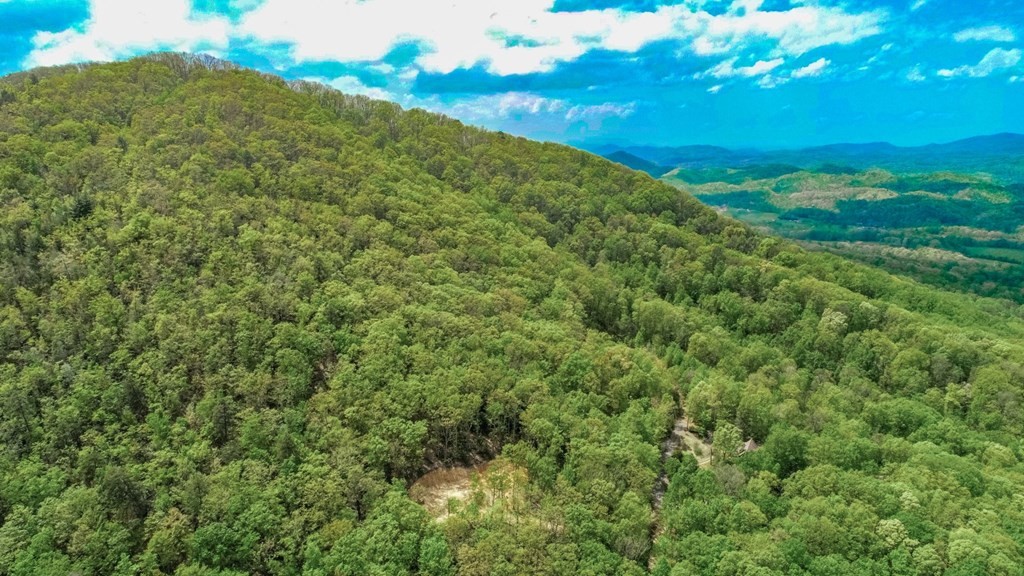 2 Rocky Ridge Road Cosby, TN 37722 - Photo 7 of 28 Gallery Image 7