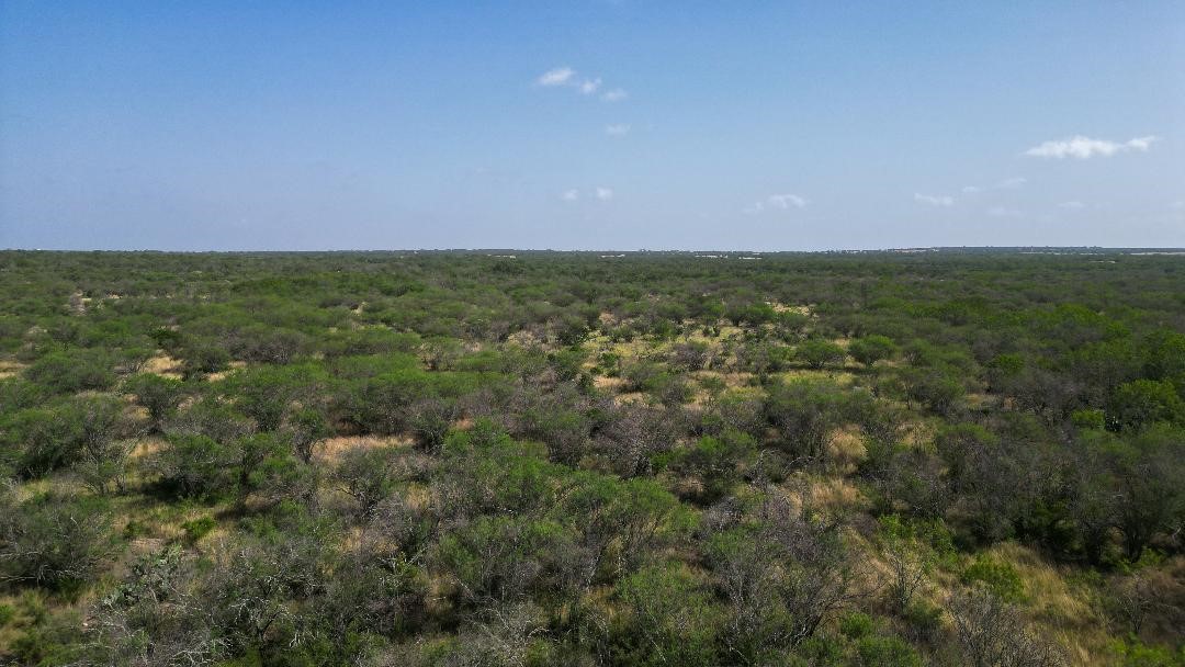 Tbd Fm 624 George West, TX 78022 - Photo 3 of 10 a view of a field with an ocean view