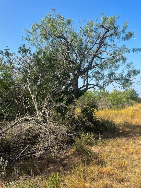 Tbd Fm 624 George West, TX 78022 - Photo 7 of 10 a view of a yard