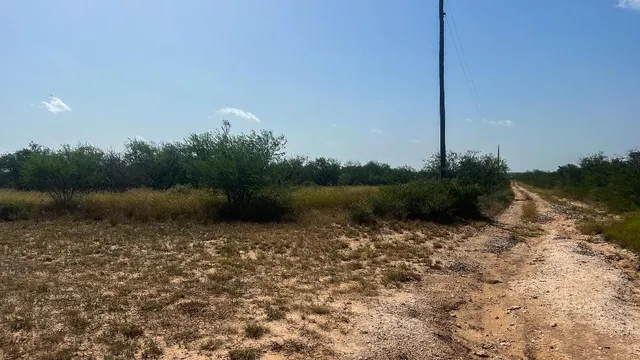 a view of a city with lush green forest