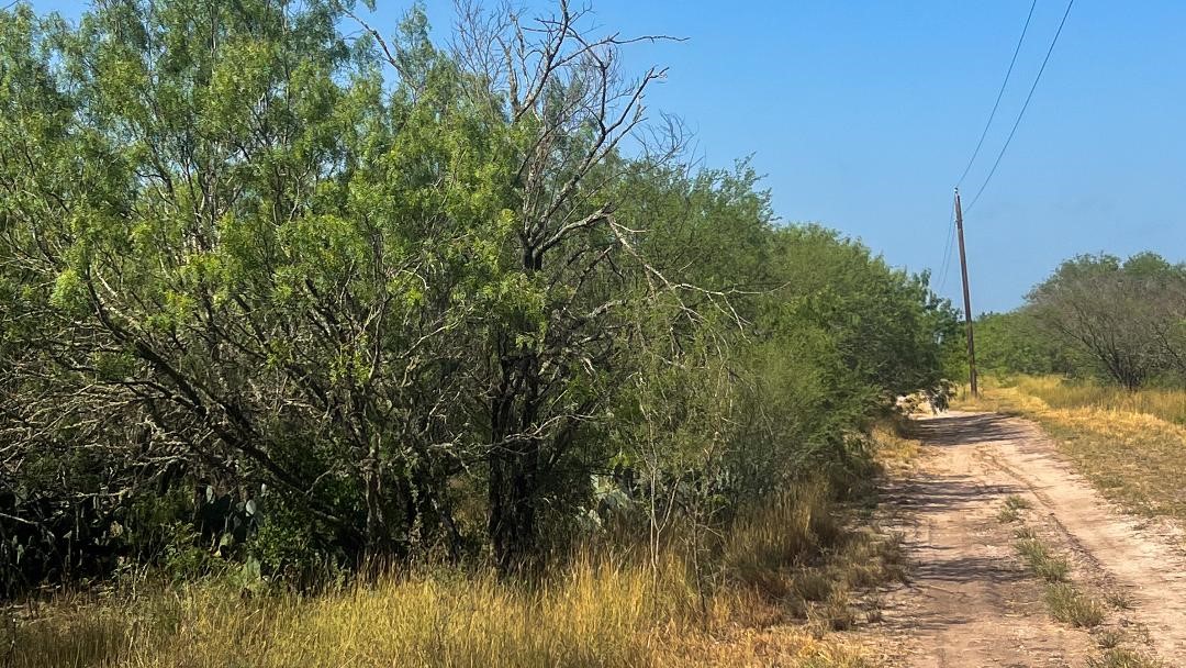 Tbd Fm 624 George West, TX 78022 - Photo 10 of 10 a view of a lake view with houses