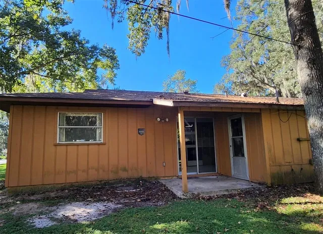 a view of a backyard with plants and large trees
