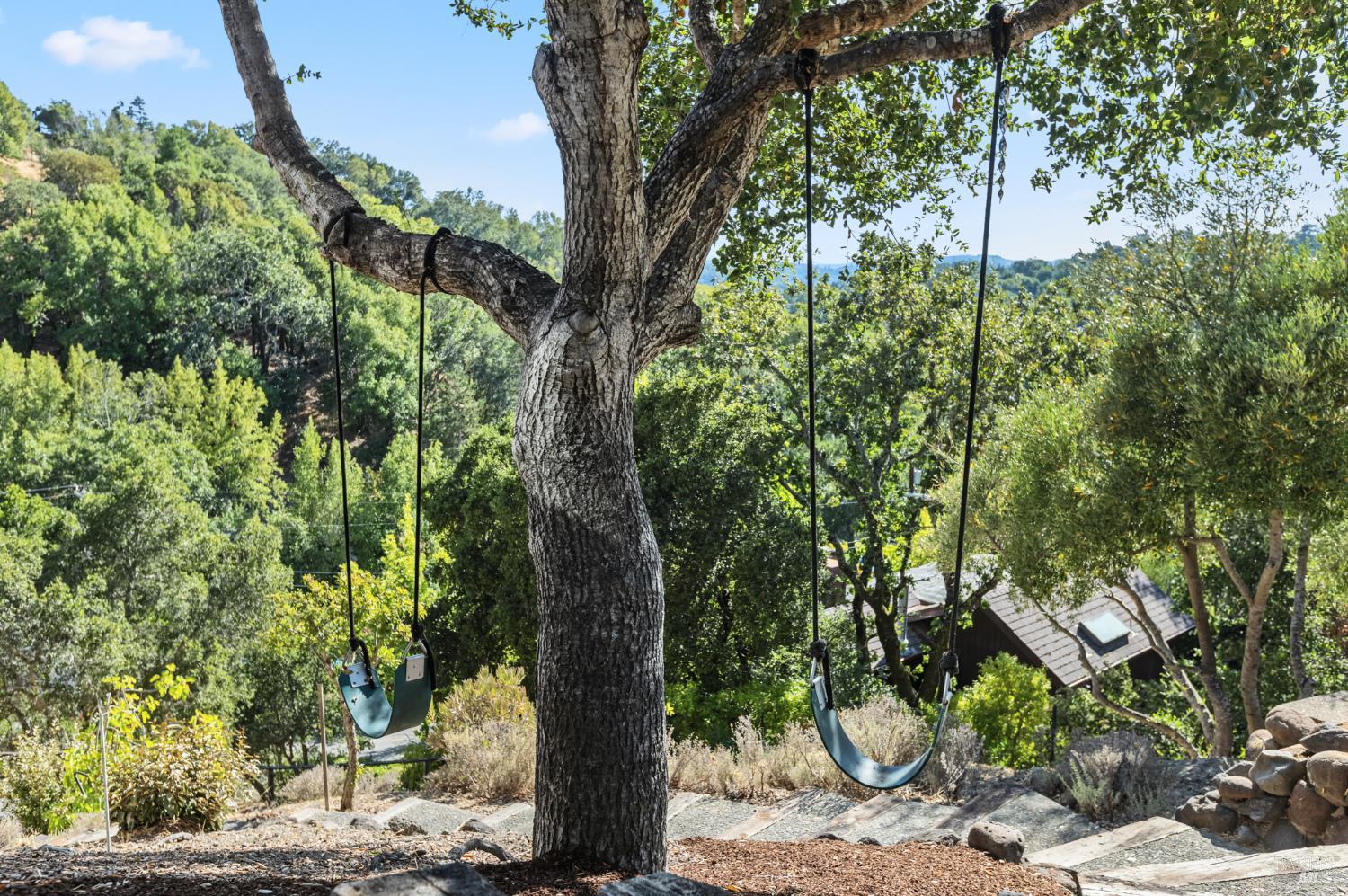 103 Holstein Road San Anselmo, CA 94960 - Photo 55 of 66 a backyard of a house with lots of green space