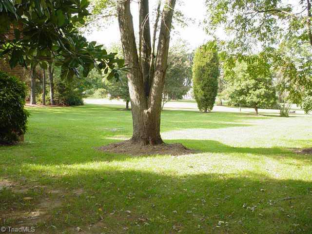 1415 Oak Ridge Road Kernersville, NC 27284 - Photo 3 of 8 Other. side yard