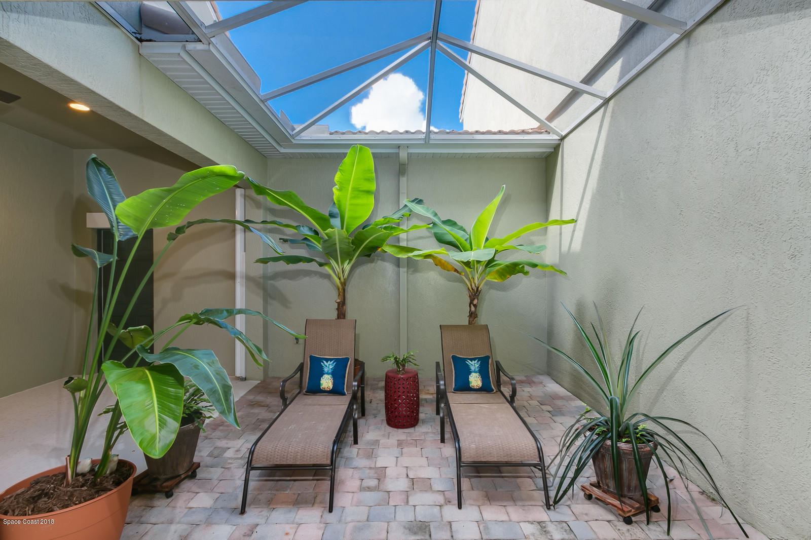 3225 Sedge Drive Rockledge, FL 32955 - Photo 28 of 35 a potted plant sitting in front of a window
