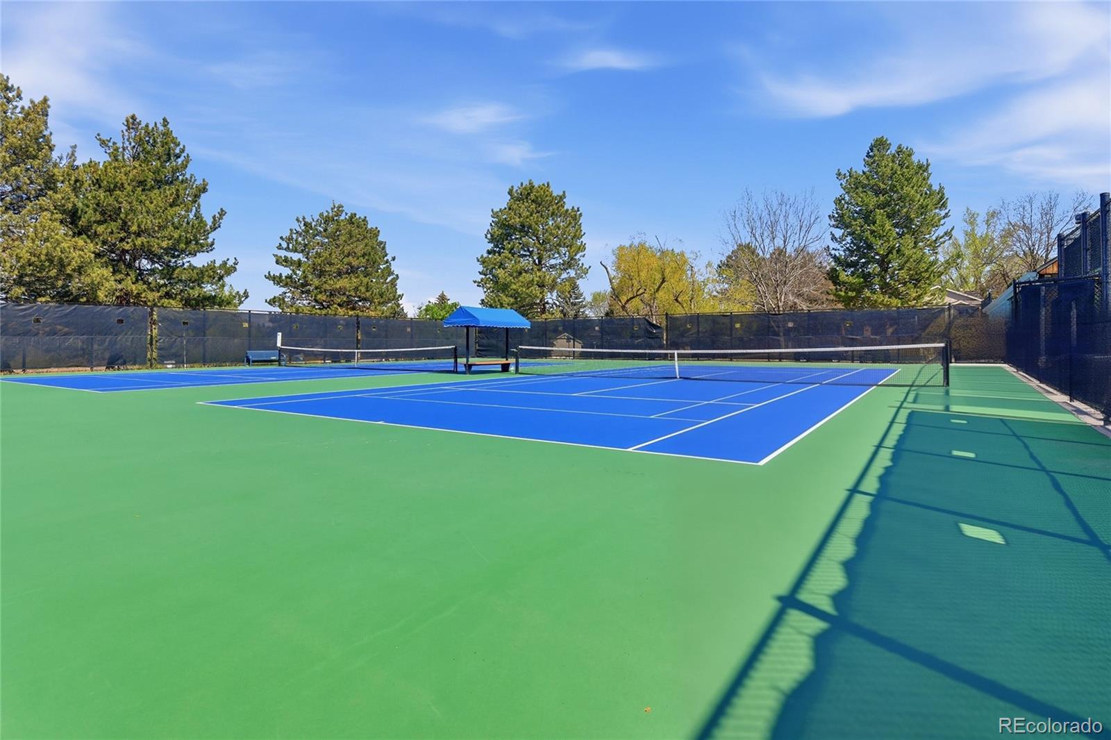 6210 South Grape Court Centennial, CO 80121 - Photo 49 of 50