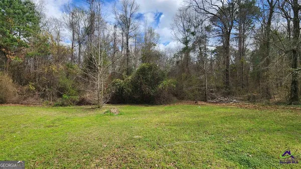 a view of a field with trees in the background