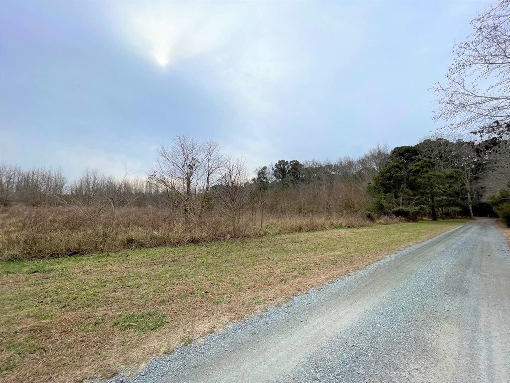 3.65 Old Neck Road, Unit 1 Weems, VA 22576 - Photo 5 of 35
