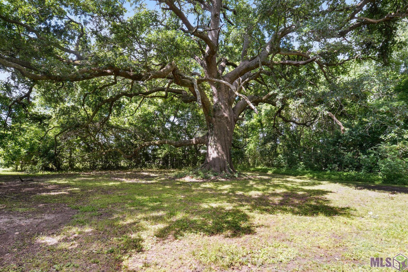 11611 River Road Port Allen, LA 70767 - Photo 31 of 43 Gallery Image 31