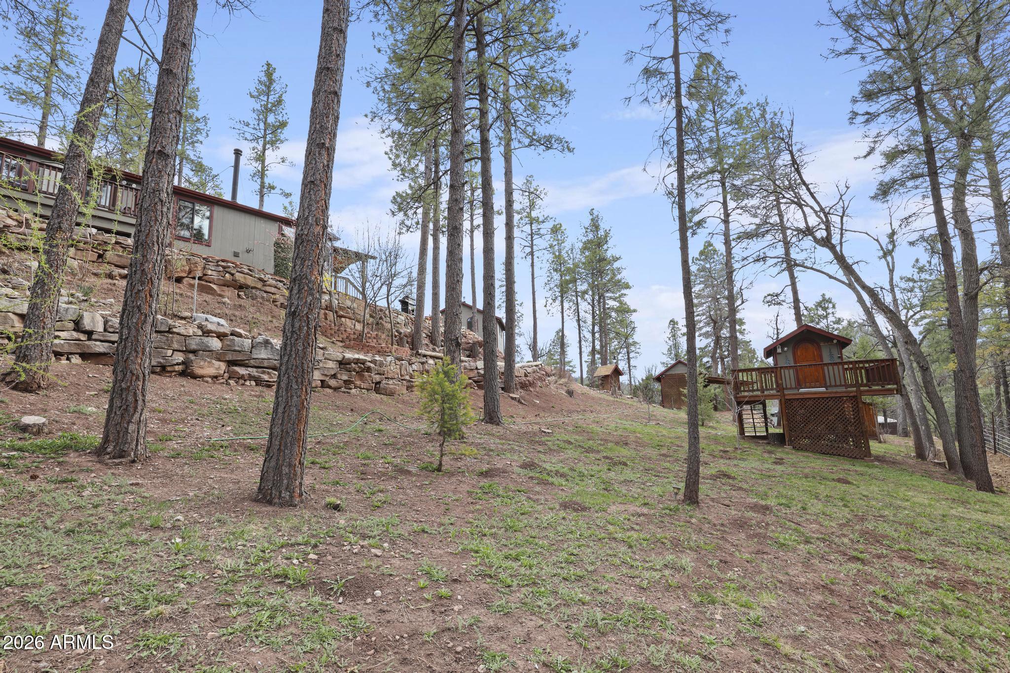 396 Leisure Lane Payson, AZ 85541 - Photo 39 of 61 1E0A6372