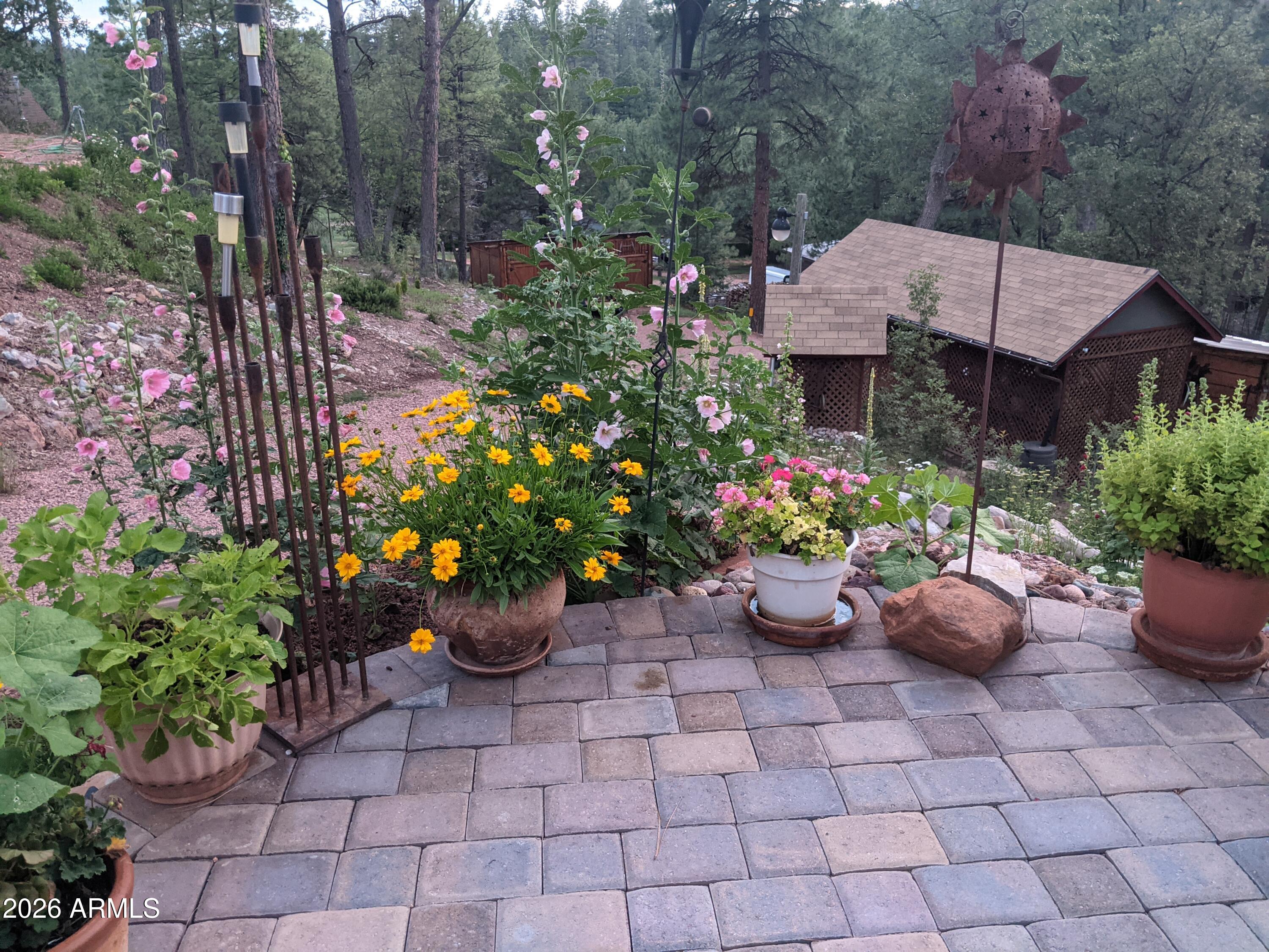 396 Leisure Lane Payson, AZ 85541 - Photo 45 of 61 PXL_20210728_023329170