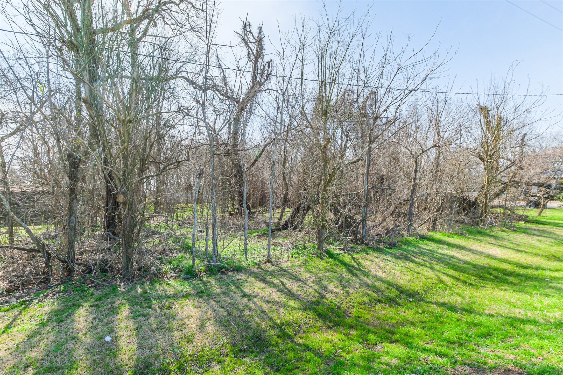 35143 Farm To Market 1093 Simonton, TX 77485 - Photo 12 of 15 a backyard of a house with lots of green space