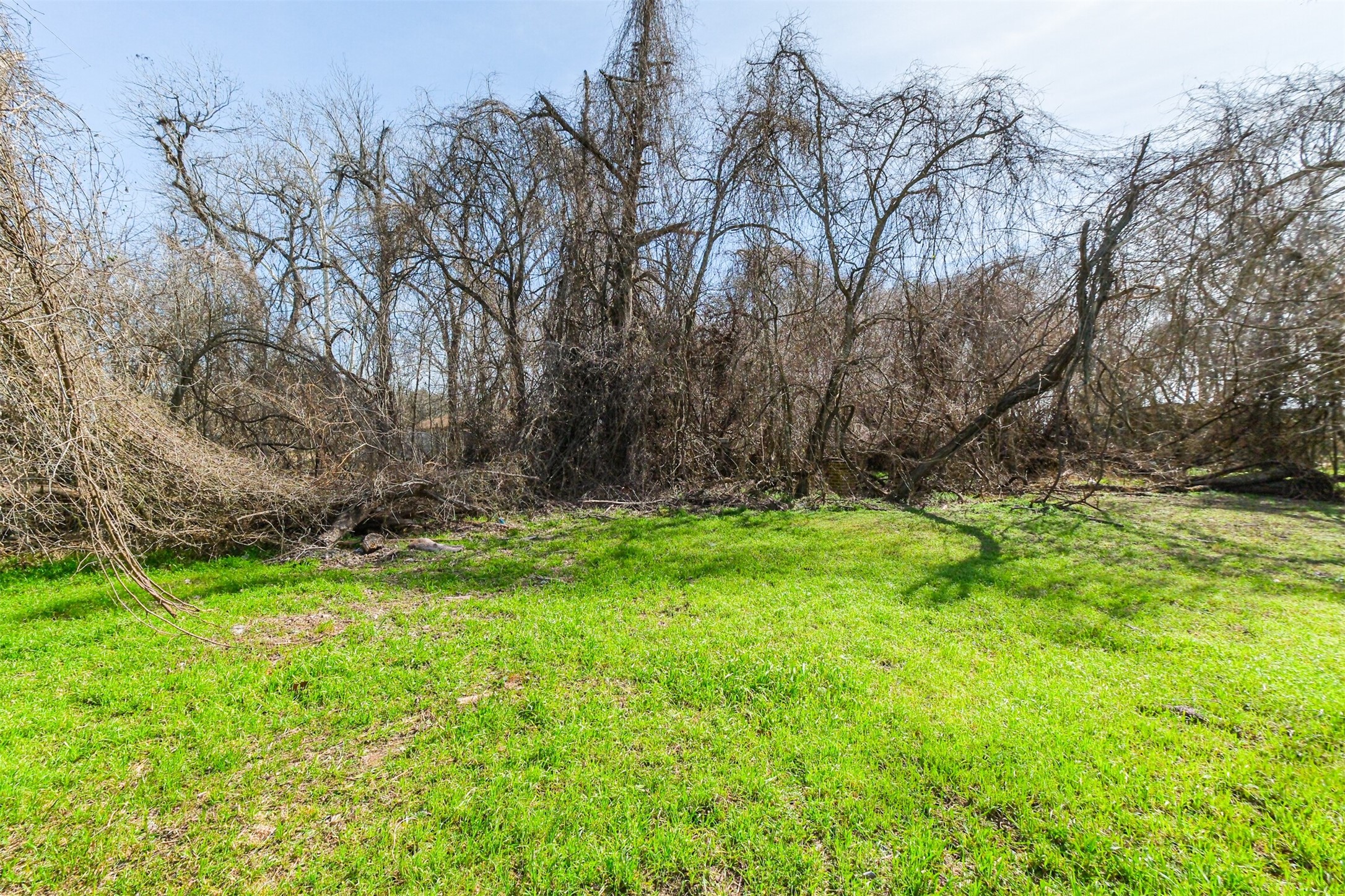 35143 Farm To Market 1093 Simonton, TX 77485 - Photo 13 of 15 a view of backyard with green space