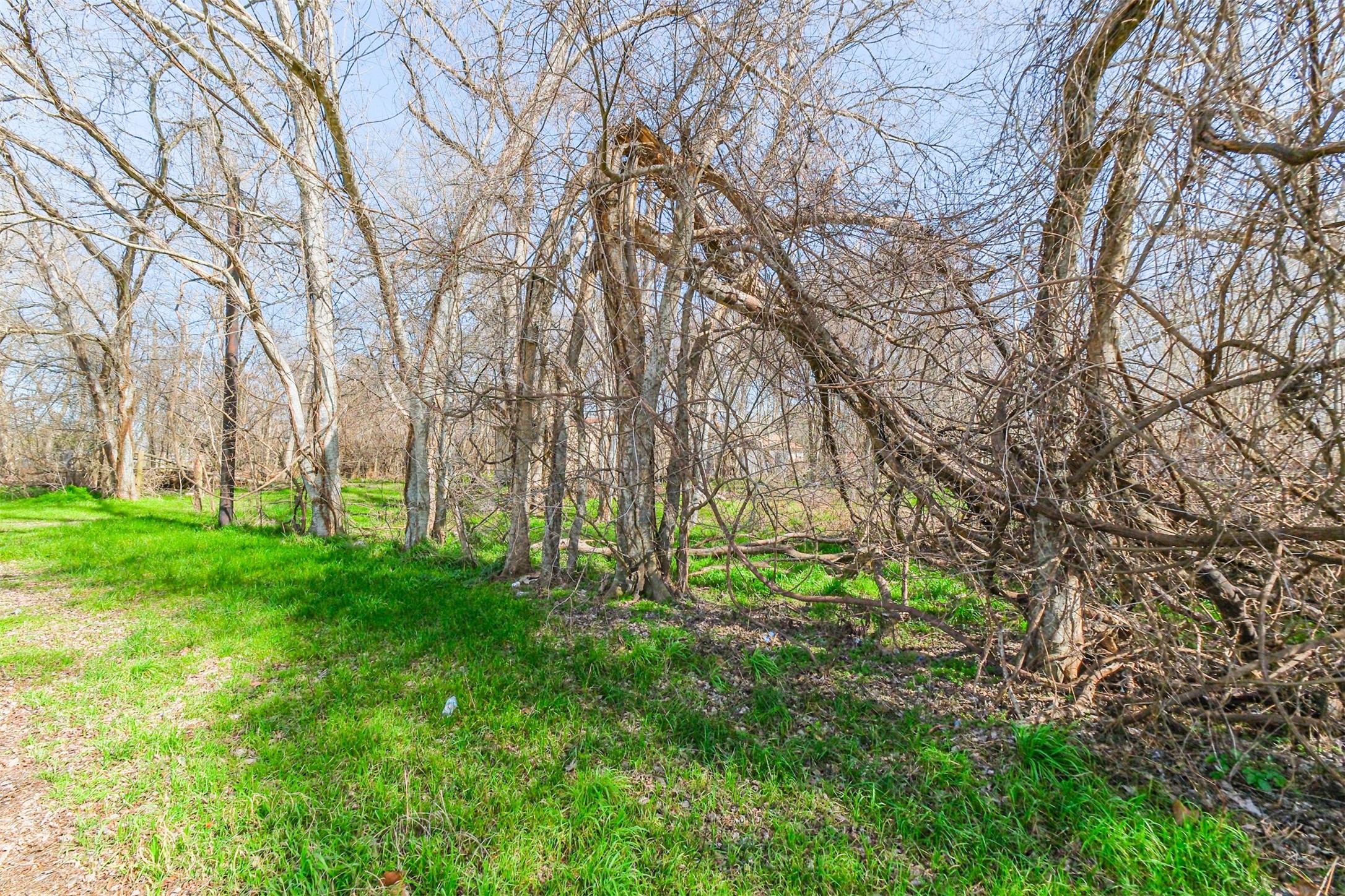 35143 Farm To Market 1093 Simonton, TX 77485 - Photo 15 of 15 a backyard of a house with lots of green space