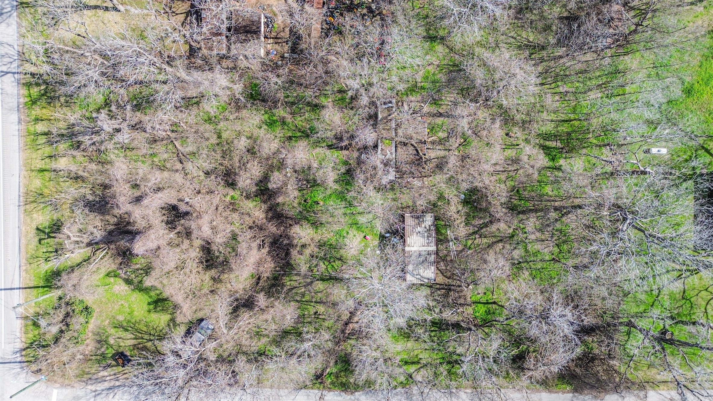 35143 Farm To Market 1093 Simonton, TX 77485 - Photo 3 of 15 a view of a forest with lots of trees