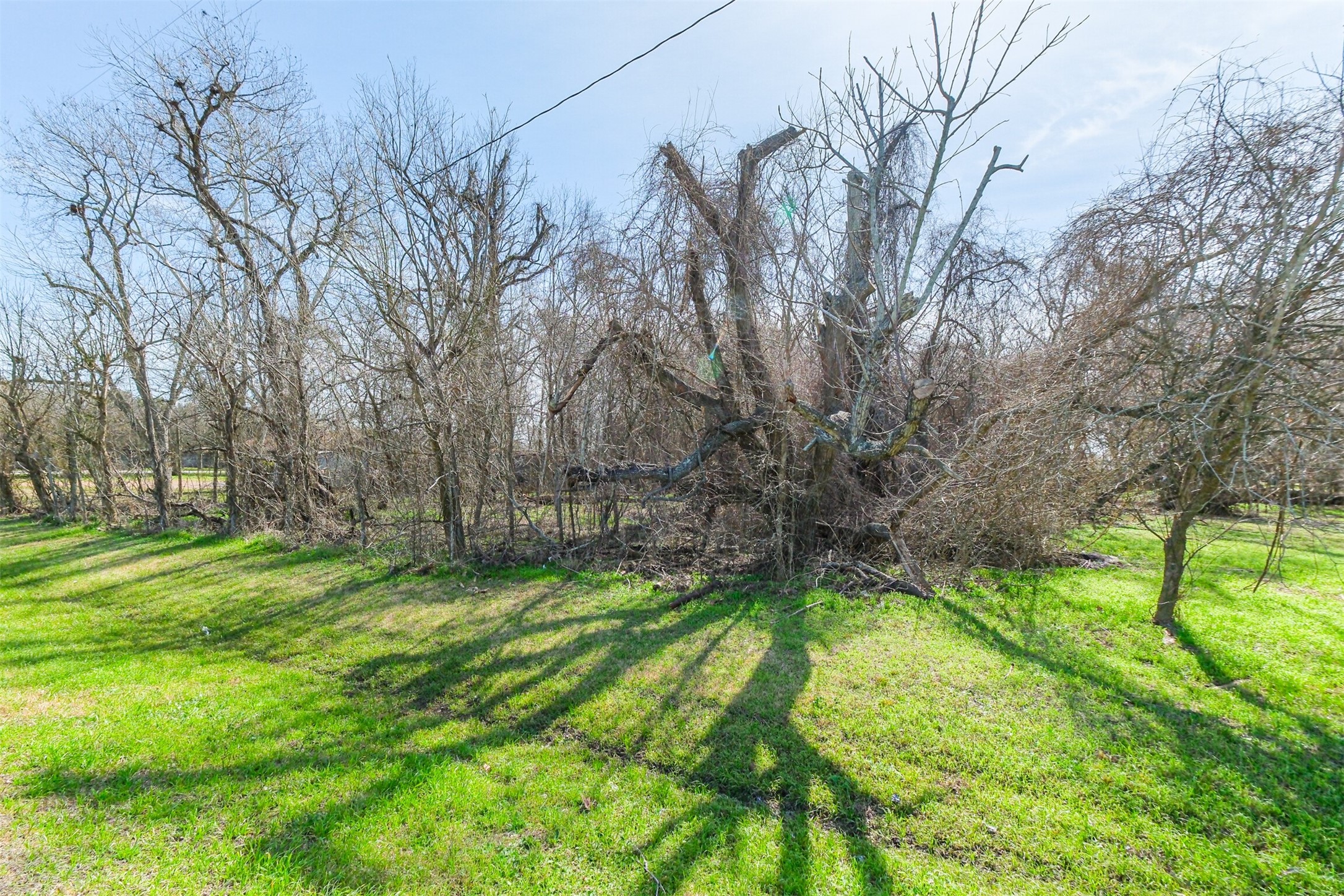 35143 Farm To Market 1093 Simonton, TX 77485 - Photo 10 of 15 a view of yard with swimming pool and green space