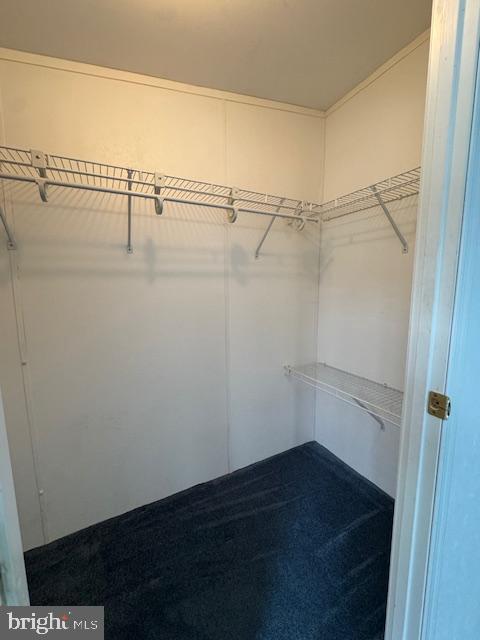 167 Woods Way Elkton, MD 21921 - Photo 15 of 46 Primary Bedroom Walk-In Closet with light