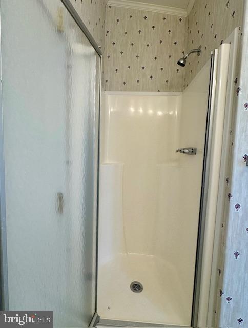 167 Woods Way Elkton, MD 21921 - Photo 17 of 46 Walk-In Shower in Primary Bath