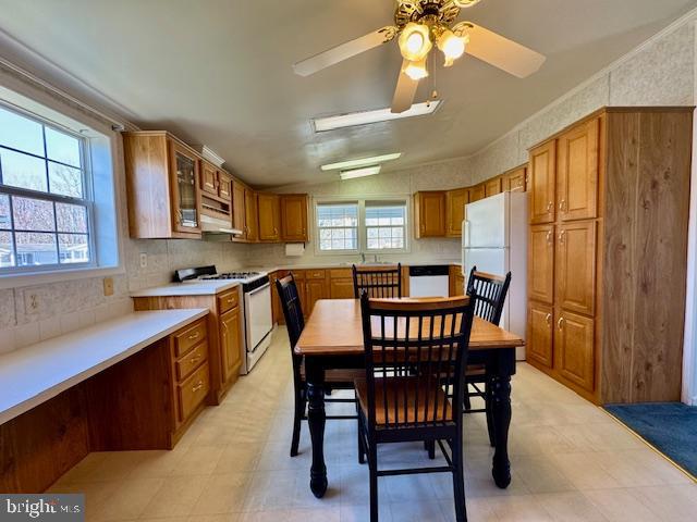 167 Woods Way Elkton, MD 21921 - Photo 9 of 46 Large Pantry-Loads of Cabinetry and Prep Space