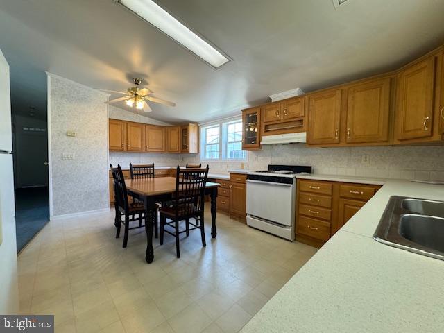 167 Woods Way Elkton, MD 21921 - Photo 10 of 46 Propane Cooking in Kitchen