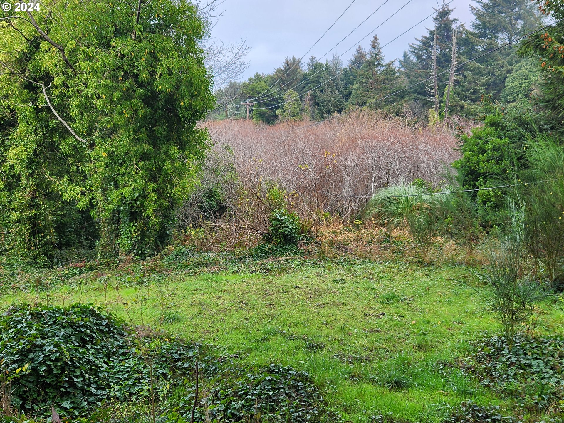 94619 Grange Road Gold Beach, OR 97444 - Photo 11 of 11 Gallery Image 11