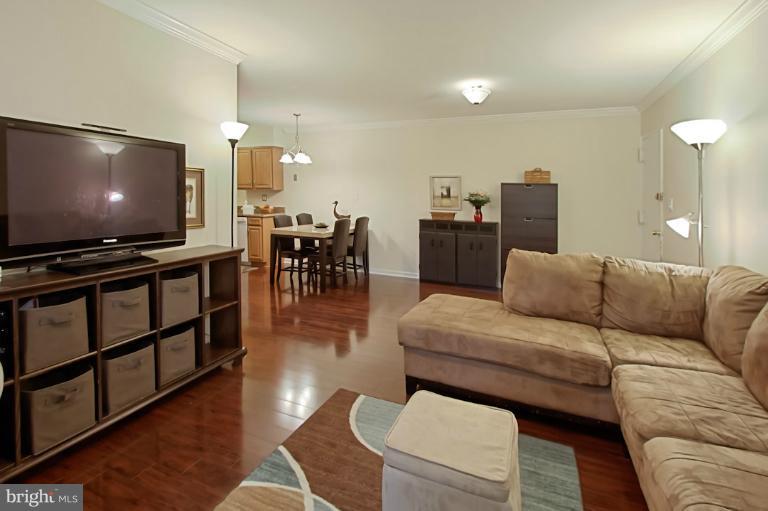 8318 L Kingsgate Road, Unit 546 Springfield, VA 22152 - Photo 14 of 30 Living Room