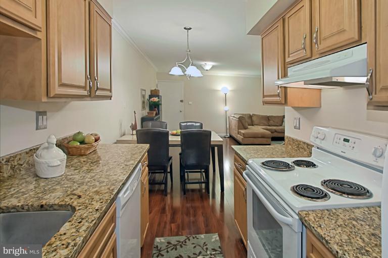 8318 L Kingsgate Road, Unit 546 Springfield, VA 22152 - Photo 17 of 30 Kitchen