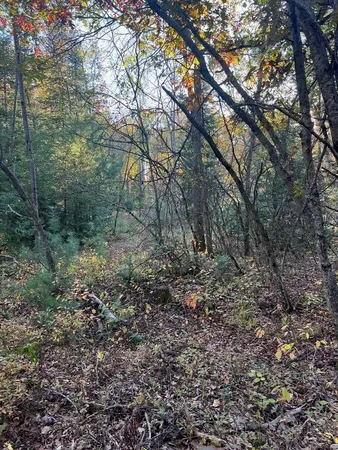 $164,900 | V/l 20-ac V/l 20-ac Lansing Road, Roscommon, MI 48653