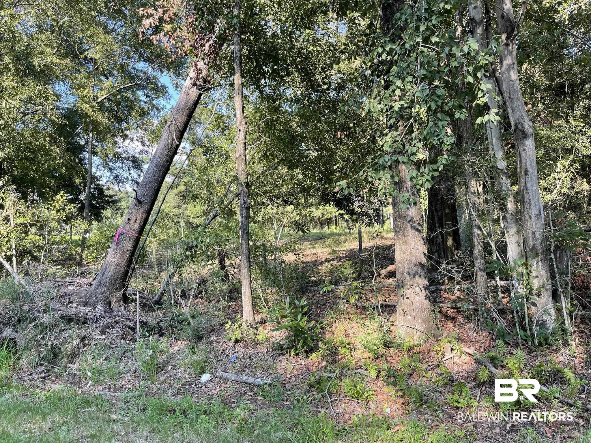 0 Rockhill Road Bay Minette, AL 36507 - Photo 13 of 32