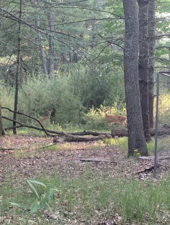 $40,000 | 9447 South Wildwood Boulevard, Baldwin, MI 49304