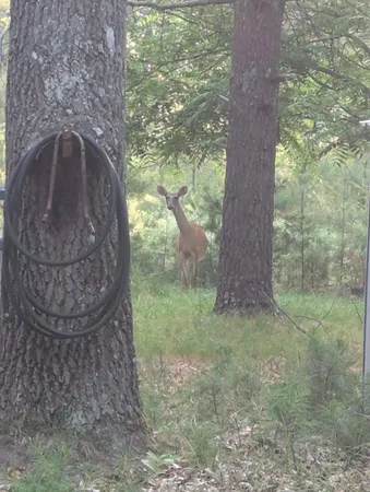 $40,000 | 9447 South Wildwood Boulevard, Baldwin, MI 49304