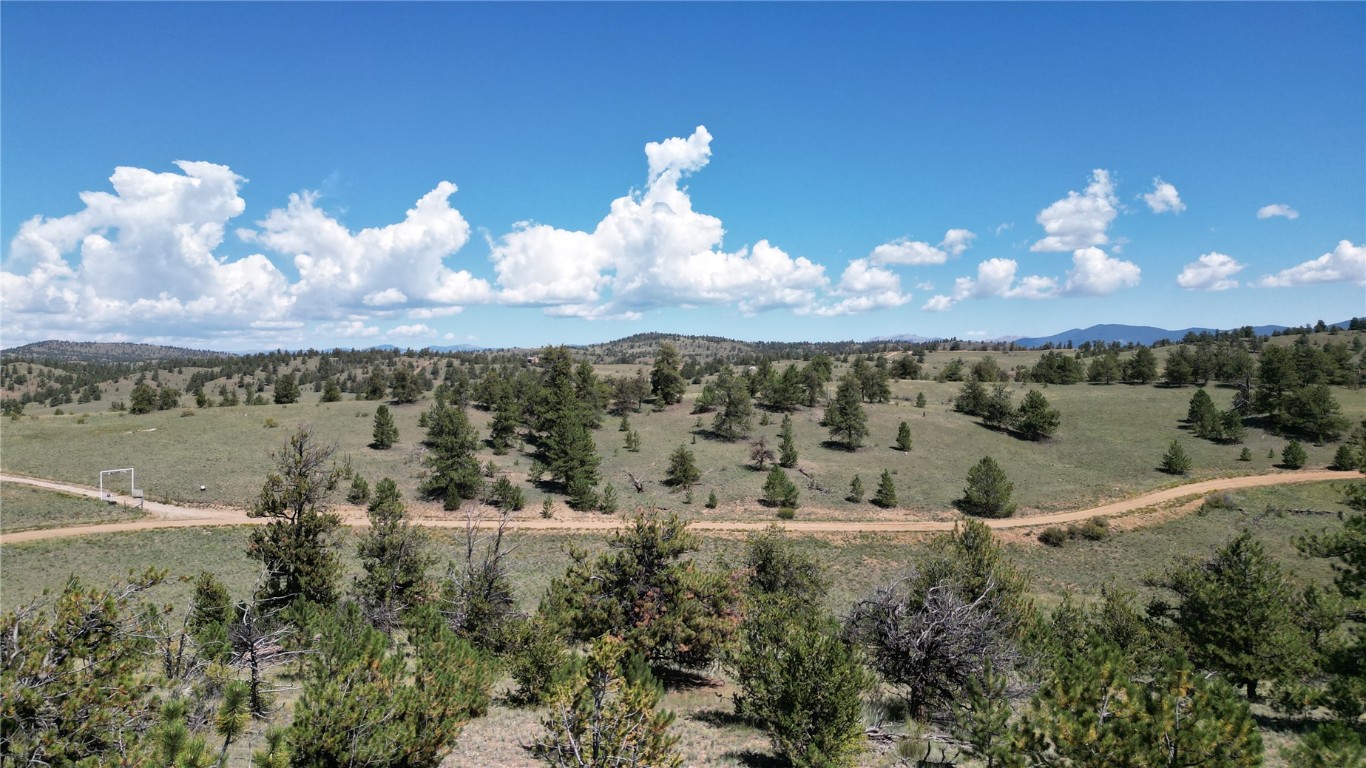 4206 Fitzsimmons Road Hartsel, CO 80449 - Photo 1 of 29 Gallery Image 1