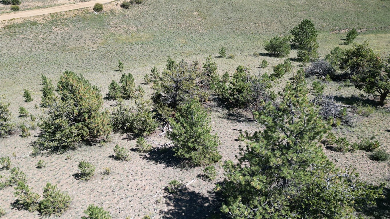 4206 Fitzsimmons Road Hartsel, CO 80449 - Photo 11 of 29 Gallery Image 11