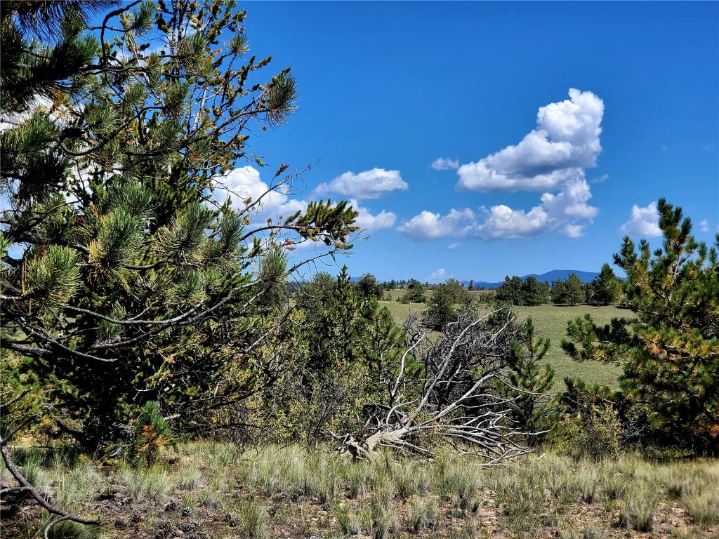 4206 Fitzsimmons Road Hartsel, CO 80449 - Photo 13 of 29 Gallery Image 13
