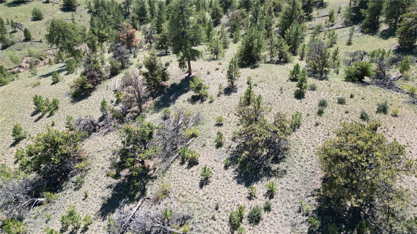 4206 Fitzsimmons Road Hartsel, CO 80449 - Photo 14 of 29 Gallery Image 14