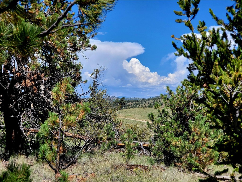 4206 Fitzsimmons Road Hartsel, CO 80449 - Photo 15 of 29 Gallery Image 15