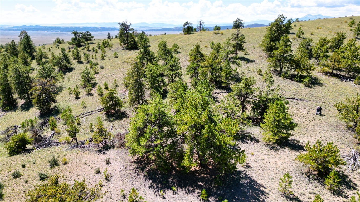 4206 Fitzsimmons Road Hartsel, CO 80449 - Photo 16 of 29 Gallery Image 16