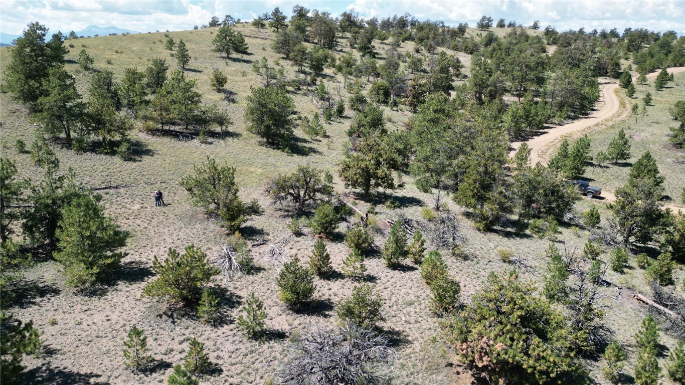 4206 Fitzsimmons Road Hartsel, CO 80449 - Photo 18 of 29 Gallery Image 18