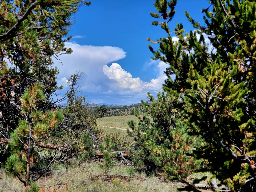 4206 Fitzsimmons Road Hartsel, CO 80449 - Photo 19 of 29 Gallery Image 19