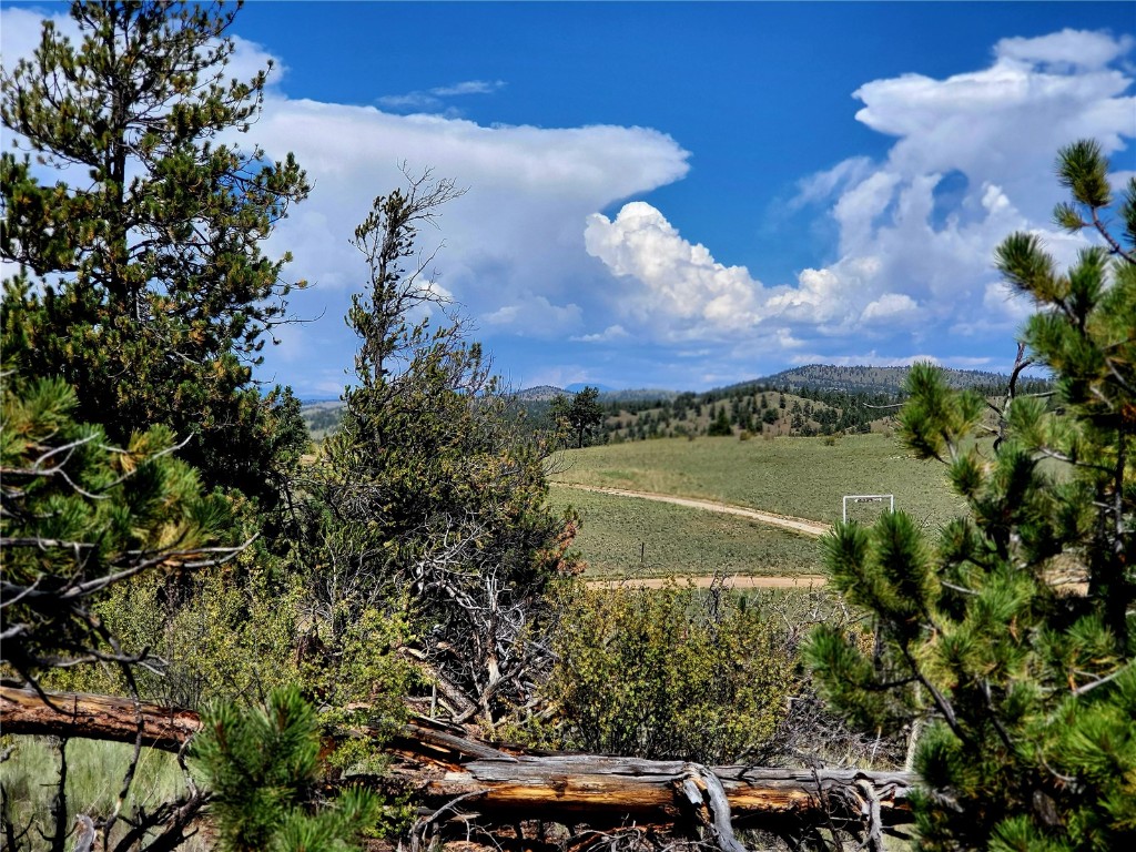 4206 Fitzsimmons Road Hartsel, CO 80449 - Photo 2 of 29 Gallery Image 2