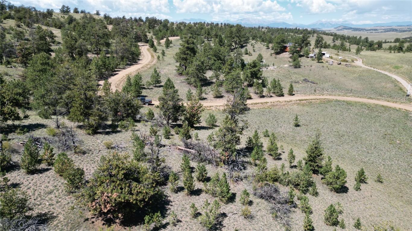 4206 Fitzsimmons Road Hartsel, CO 80449 - Photo 21 of 29 Gallery Image 21
