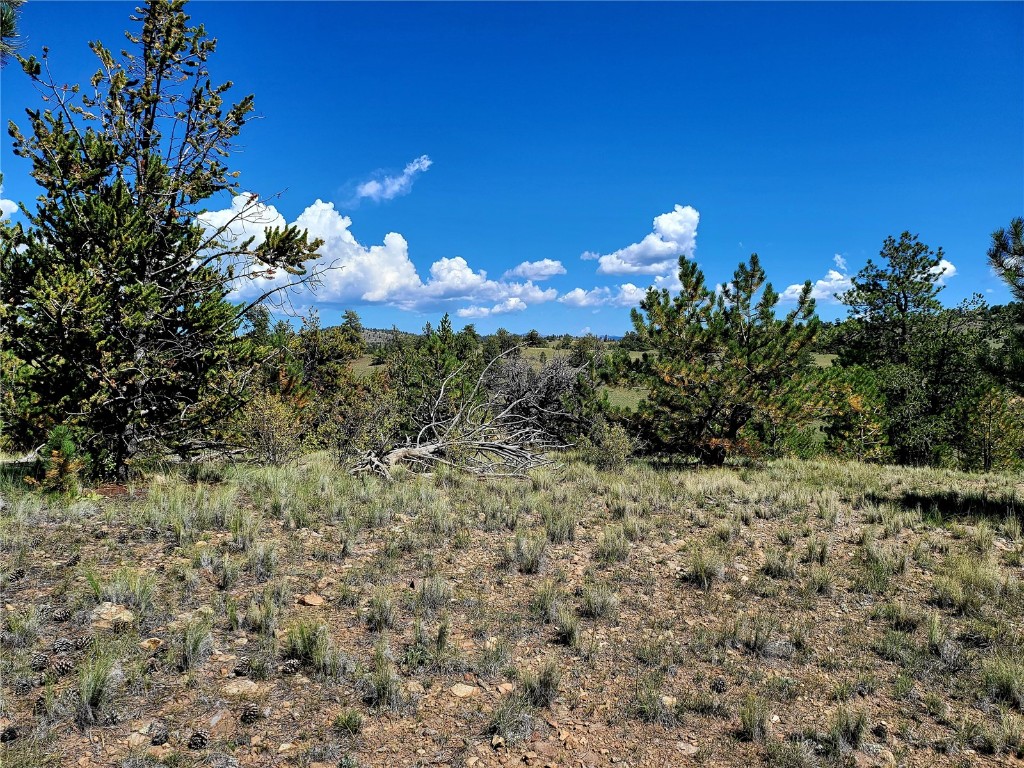 4206 Fitzsimmons Road Hartsel, CO 80449 - Photo 22 of 29 Gallery Image 22