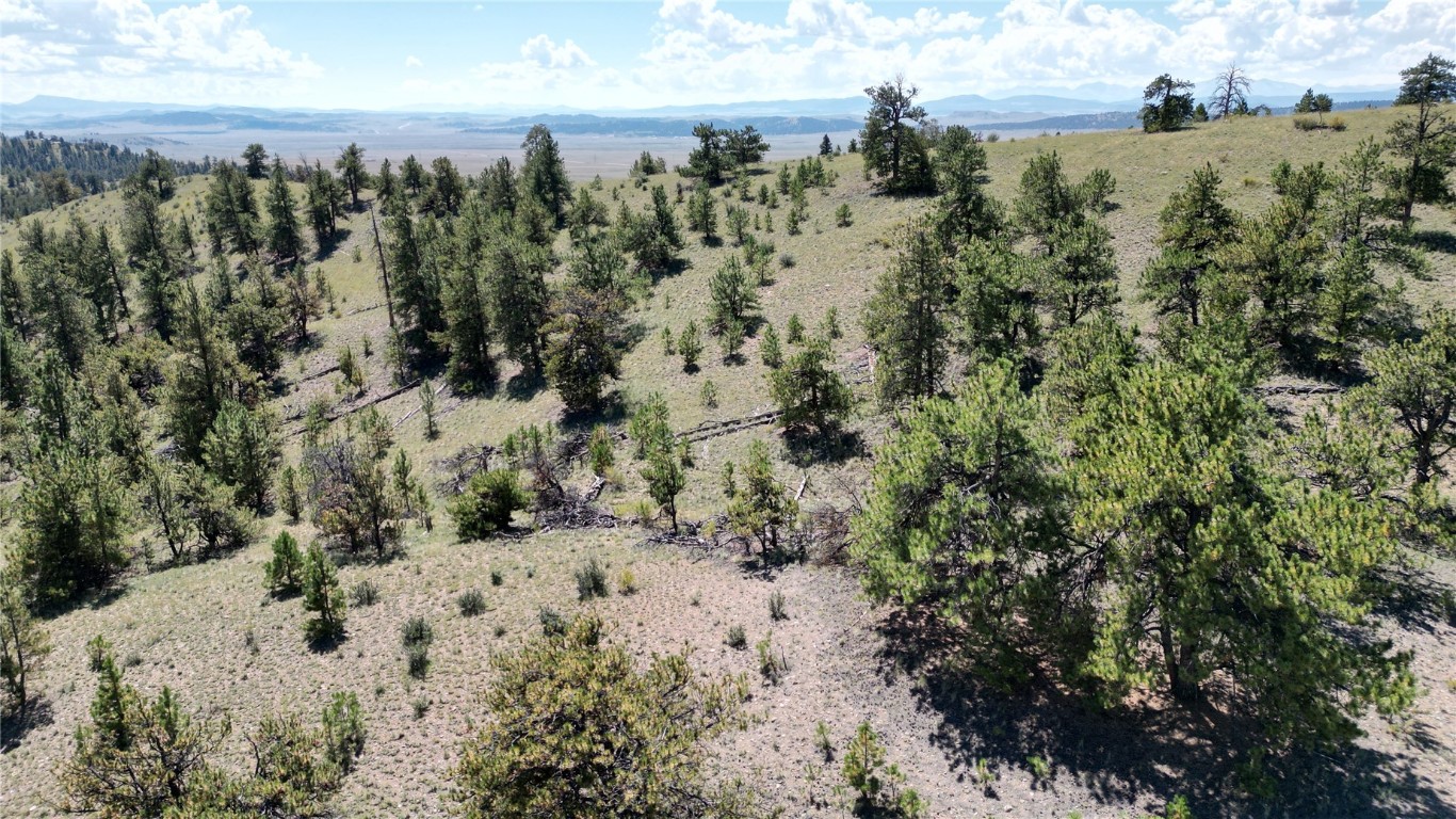 4206 Fitzsimmons Road Hartsel, CO 80449 - Photo 23 of 29 Gallery Image 23