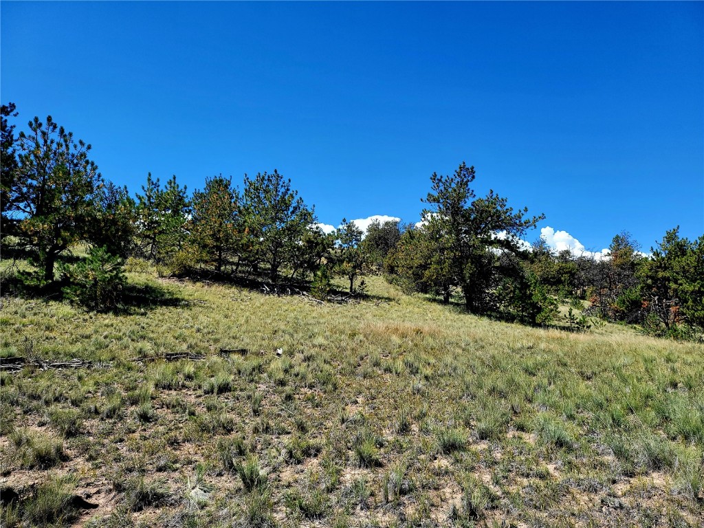 4206 Fitzsimmons Road Hartsel, CO 80449 - Photo 24 of 29 Gallery Image 24