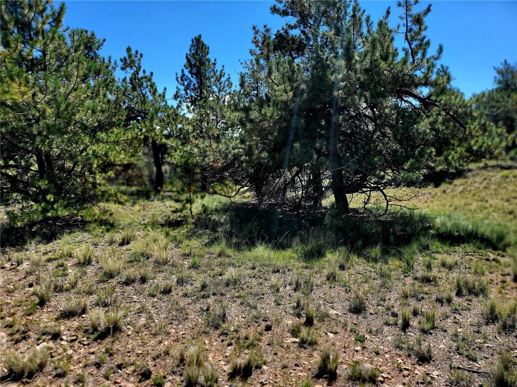 4206 Fitzsimmons Road Hartsel, CO 80449 - Photo 25 of 29 Gallery Image 25