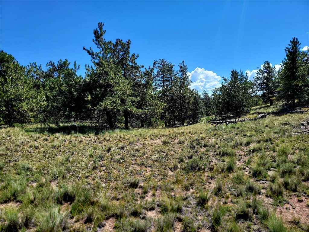 4206 Fitzsimmons Road Hartsel, CO 80449 - Photo 27 of 29 Gallery Image 27